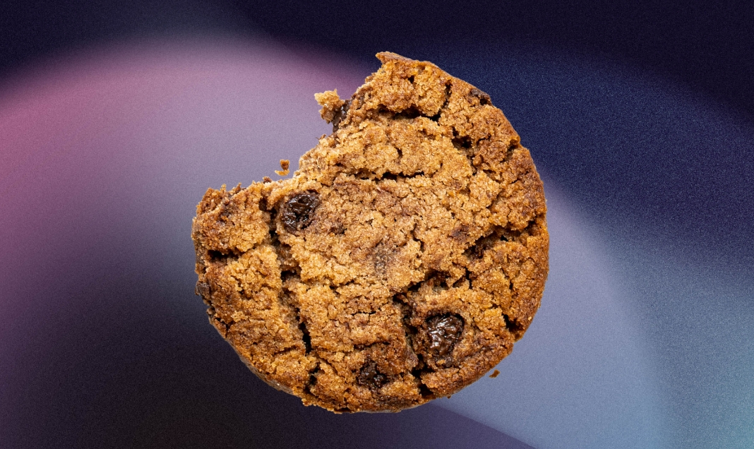 Slapukai: ką reikėtų žinoti apie juos?