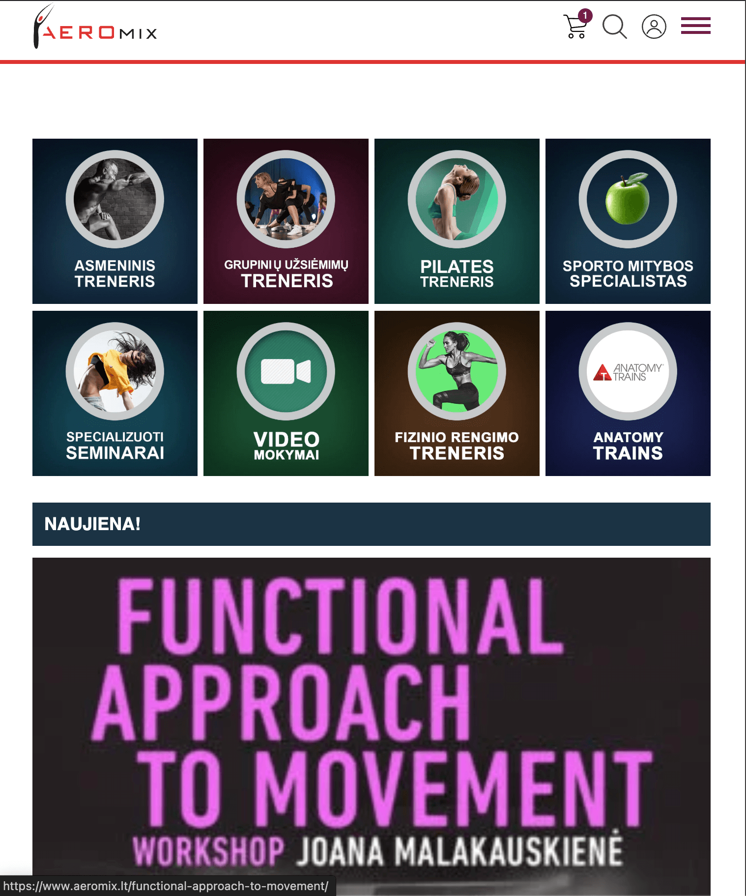 Aeromix.lt – individualiai sukurta mokymų ir video seminarų platforma