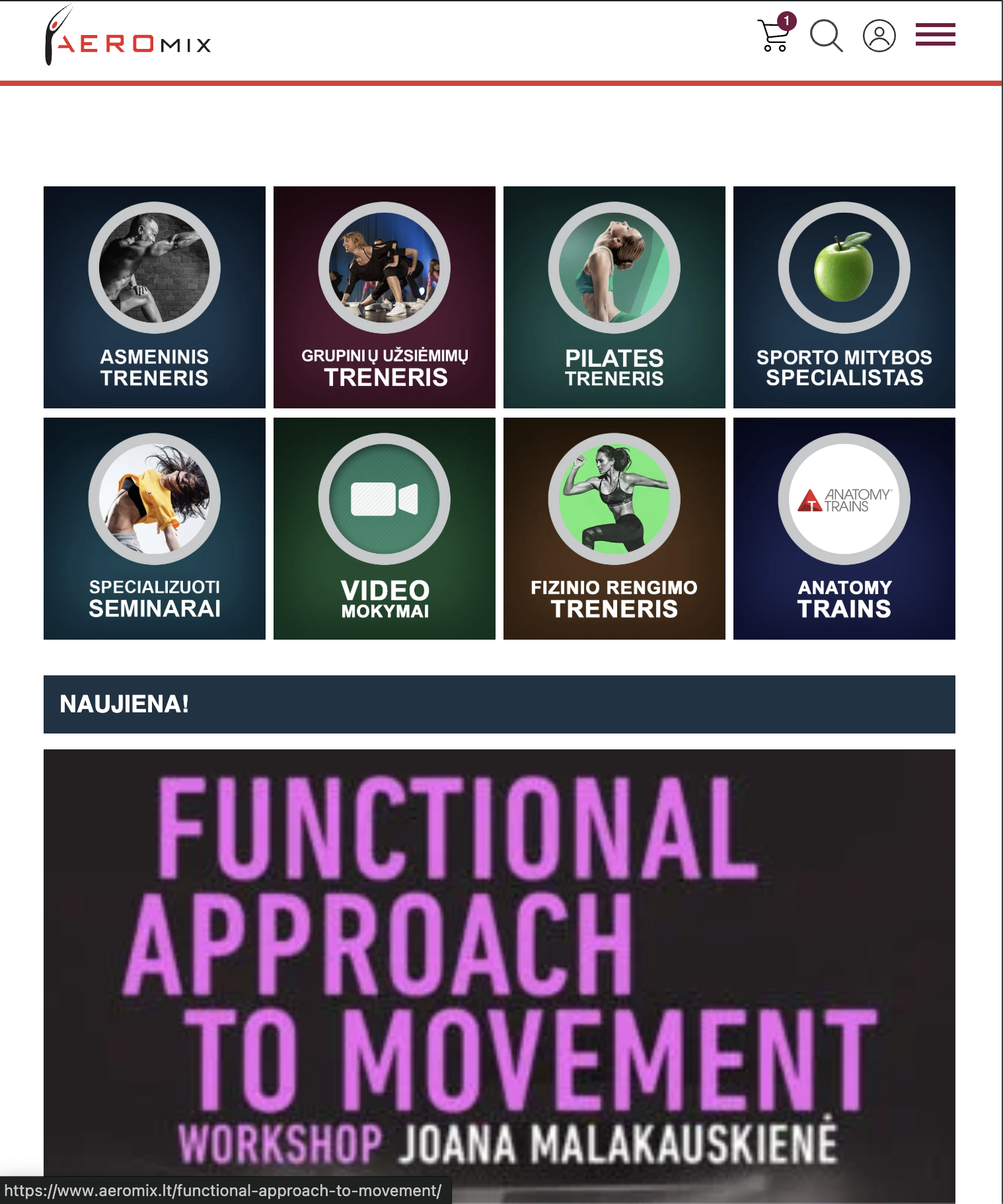 Aeromix.lt – individualiai sukurta mokymų ir video seminarų platforma